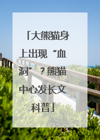 大熊猫身上出现“血洞”？熊猫中心发长文科普
