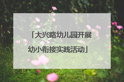 大兴路幼儿园开展幼小衔接实践活动