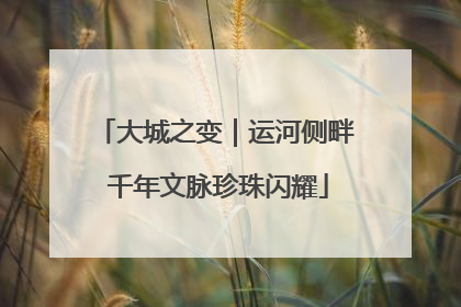 大城之变｜运河侧畔 千年文脉珍珠闪耀