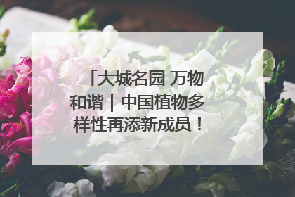 大城名园 万物和谐｜中国植物多样性再添新成员！它只在西藏墨脱
