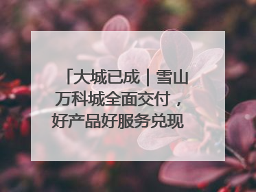 大城已成｜雪山万科城全面交付，好产品好服务兑现美好生活