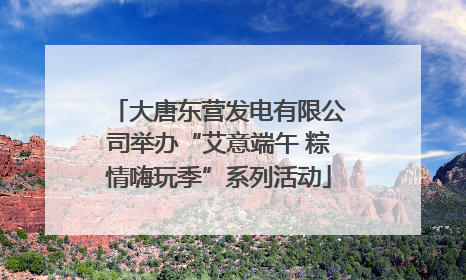 大唐东营发电有限公司举办“艾意端午 粽情嗨玩季”系列活动