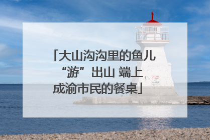 大山沟沟里的鱼儿 “游”出山 端上成渝市民的餐桌