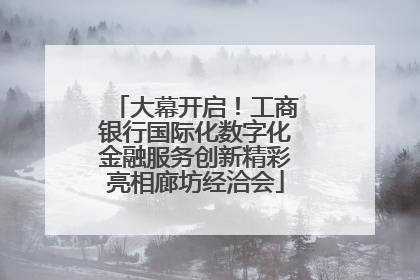 大幕开启！工商银行国际化数字化金融服务创新精彩亮相廊坊经洽会