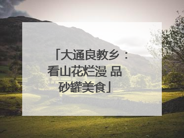 大通良教乡：看山花烂漫 品砂罐美食