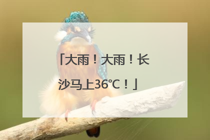 大雨！大雨！长沙马上36℃！
