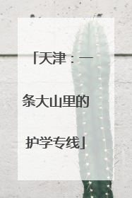 天津：一条大山里的护学专线