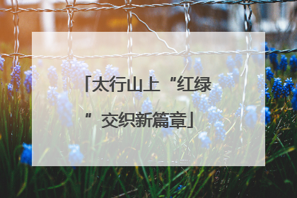 太行山上“红绿”交织新篇章