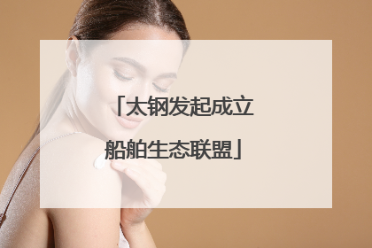 太钢发起成立船舶生态联盟