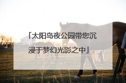 太阳岛夜公园带您沉浸于梦幻光影之中