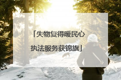 失物复得暖民心 执法服务获锦旗