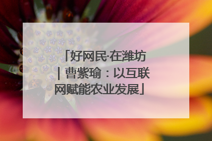 好网民·在潍坊｜曹紫瑜：以互联网赋能农业发展