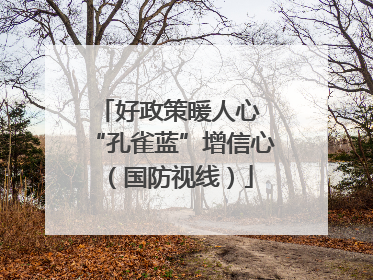 好政策暖人心 “孔雀蓝”增信心（国防视线）