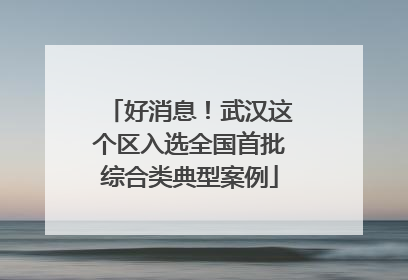 好消息！武汉这个区入选全国首批综合类典型案例