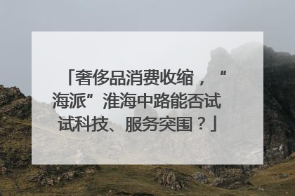 奢侈品消费收缩，“海派”淮海中路能否试试科技、服务突围？