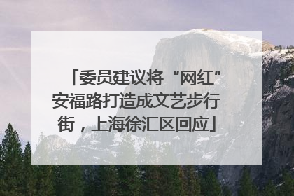 委员建议将“网红”安福路打造成文艺步行街，上海徐汇区回应
