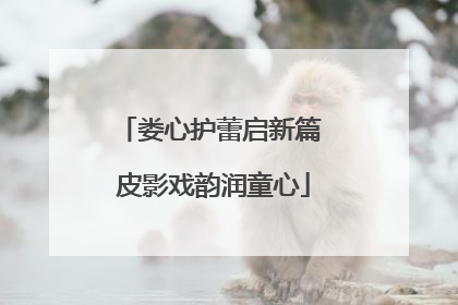 娄心护蕾启新篇 皮影戏韵润童心