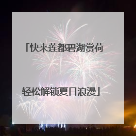 快来莲都碧湖赏荷 轻松解锁夏日浪漫