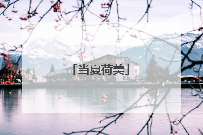 当夏荷美