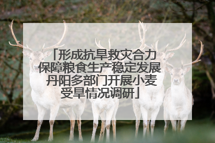 形成抗旱救灾合力 保障粮食生产稳定发展 丹阳多部门开展小麦受旱情况调研