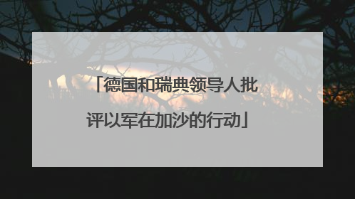 德国和瑞典领导人批评以军在加沙的行动