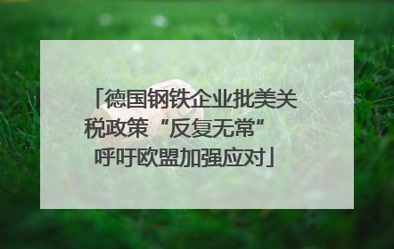 德国钢铁企业批美关税政策“反复无常” 呼吁欧盟加强应对