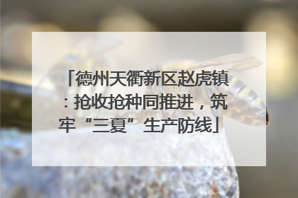 德州天衢新区赵虎镇：抢收抢种同推进，筑牢“三夏”生产防线