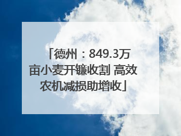 德州：849.3万亩小麦开镰收割 高效农机减损助增收