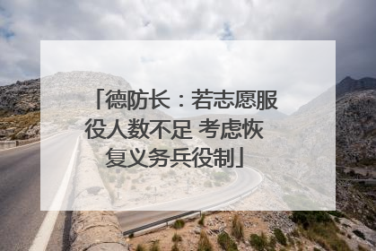 德防长：若志愿服役人数不足 考虑恢复义务兵役制