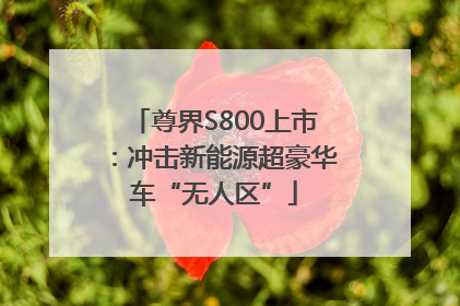尊界S800上市：冲击新能源超豪华车“无人区”