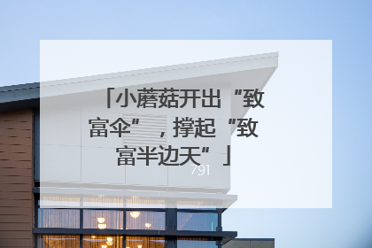 小蘑菇开出“致富伞”，撑起“致富半边天”