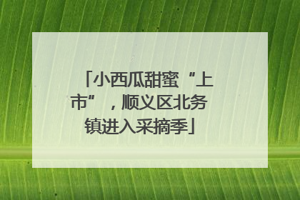 小西瓜甜蜜“上市”，顺义区北务镇进入采摘季