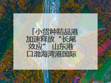 小货种精品港加速释放“长尾效应” 山东港口渤海湾港国际件杂货运业务