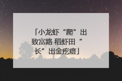 小龙虾“爬”出致富路 稻虾田“长”出金疙瘩