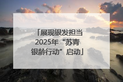展现银发担当 2025年“苏青银龄行动”启动