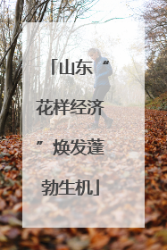山东“花样经济”焕发蓬勃生机