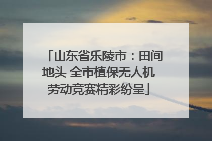山东省乐陵市：田间地头 全市植保无人机劳动竞赛精彩纷呈