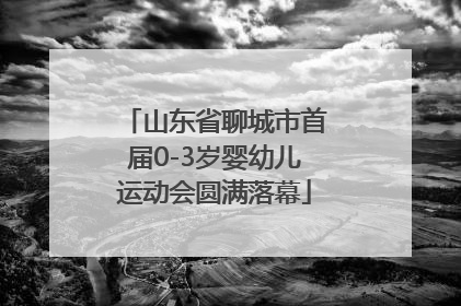 山东省聊城市首届0-3岁婴幼儿运动会圆满落幕