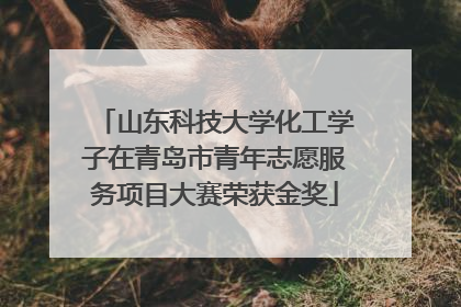 山东科技大学化工学子在青岛市青年志愿服务项目大赛荣获金奖