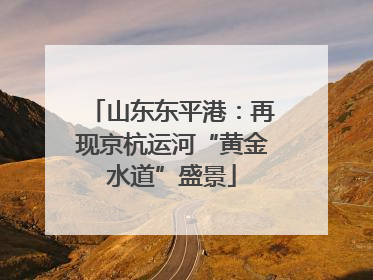 山东东平港：再现京杭运河“黄金水道”盛景