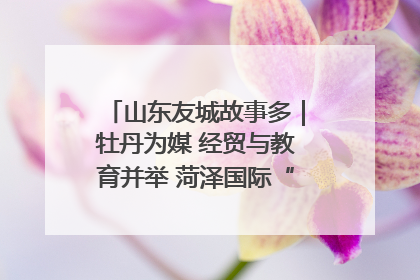 山东友城故事多｜牡丹为媒 经贸与教育并举 菏泽国际“朋友圈”扩容升级