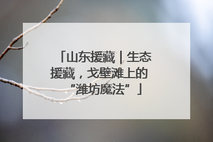 山东援藏｜生态援藏，戈壁滩上的“潍坊魔法”