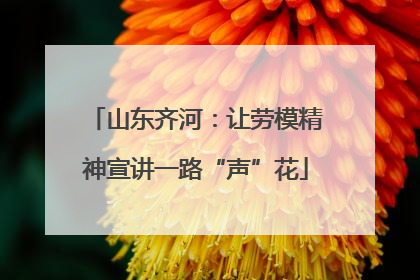 山东齐河：让劳模精神宣讲一路“声”花