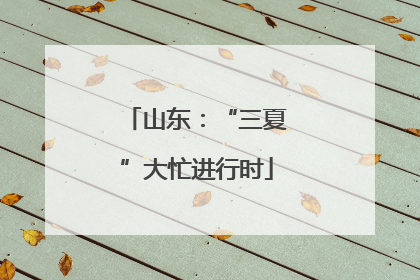 山东：“三夏”大忙进行时