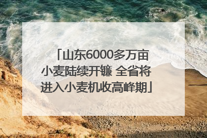 山东6000多万亩小麦陆续开镰 全省将进入小麦机收高峰期