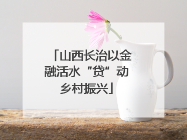 山西长治以金融活水“贷”动乡村振兴