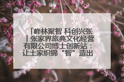 峰林聚智 科创兴张丨张家界旅典文化经营有限公司博士创新站：让土家织锦“智”造出非遗新传奇