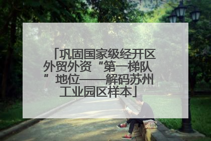 巩固国家级经开区外贸外资“第一梯队”地位——解码苏州工业园区样本