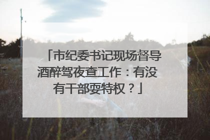 市纪委书记现场督导酒醉驾夜查工作：有没有干部耍特权？