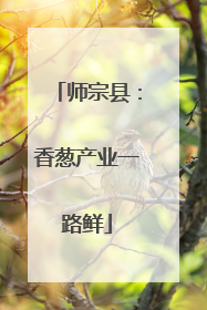 师宗县：香葱产业一路鲜